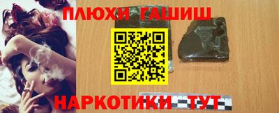 амф Гусев