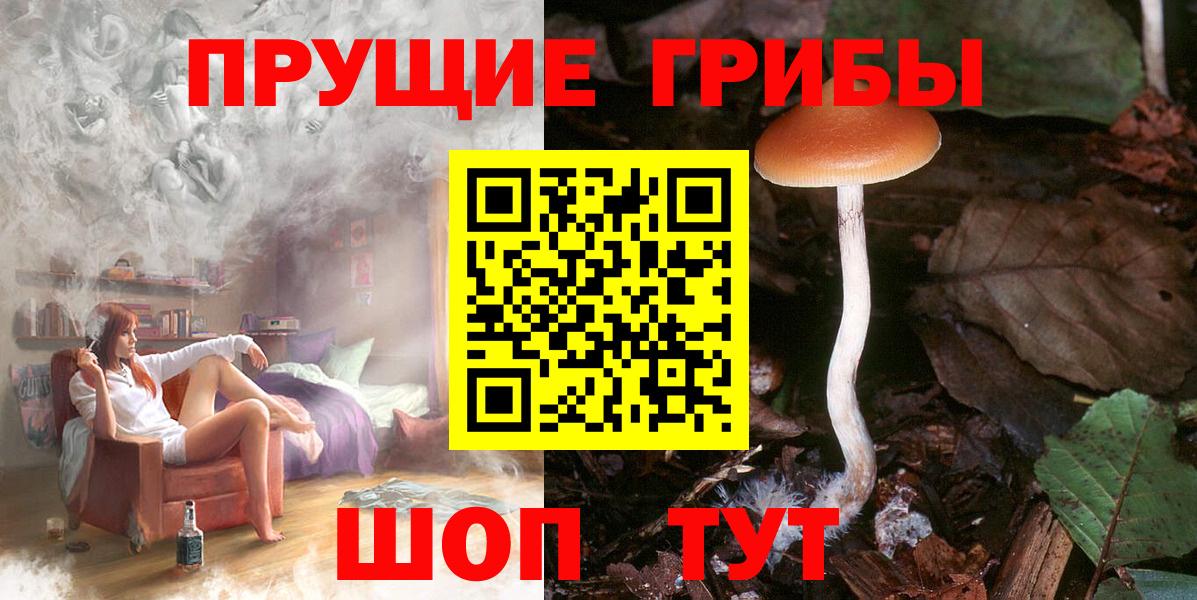 Галлюциногенные грибы Cubensis Лабытнанги